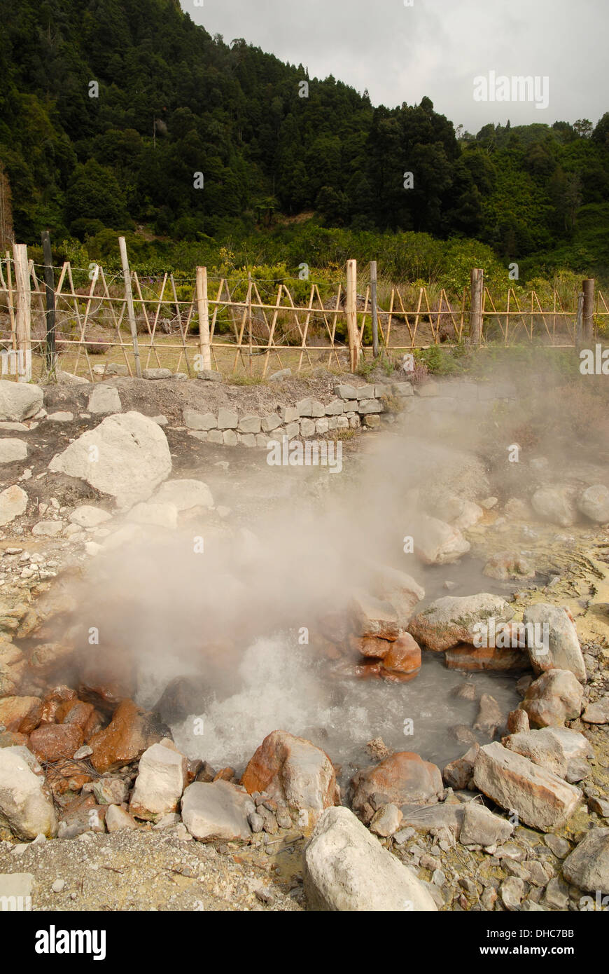 Geyser e fumarole , Lagoa das Furnas, isola Sao Miguel, Azzorre, Portogallo Foto Stock