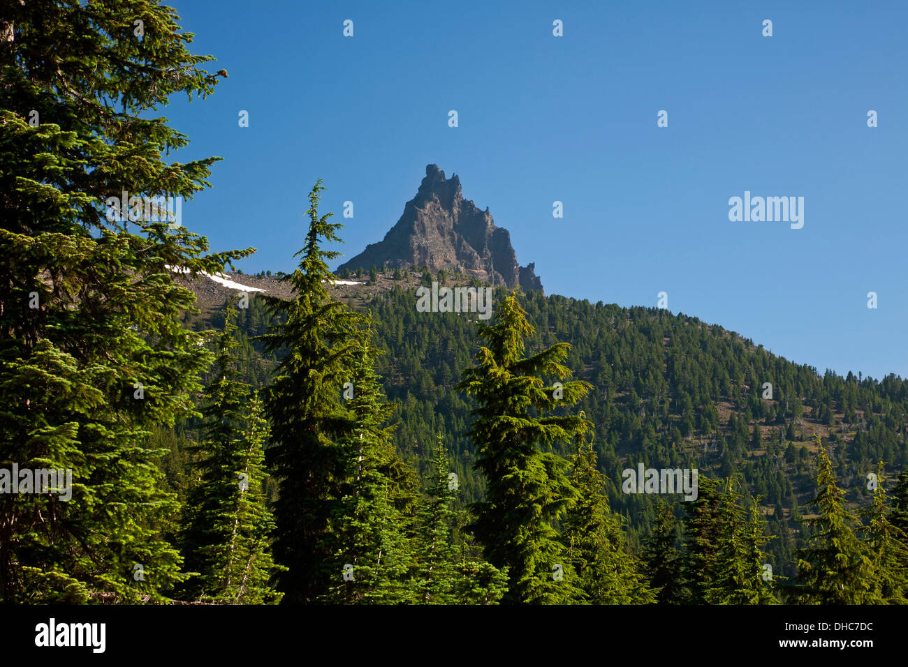 OREGON - Sun su alberi alla base dei tre Jack dentellato lungo la Pacific Crest National sentiero panoramico a Mount Jefferson deserto Foto Stock
