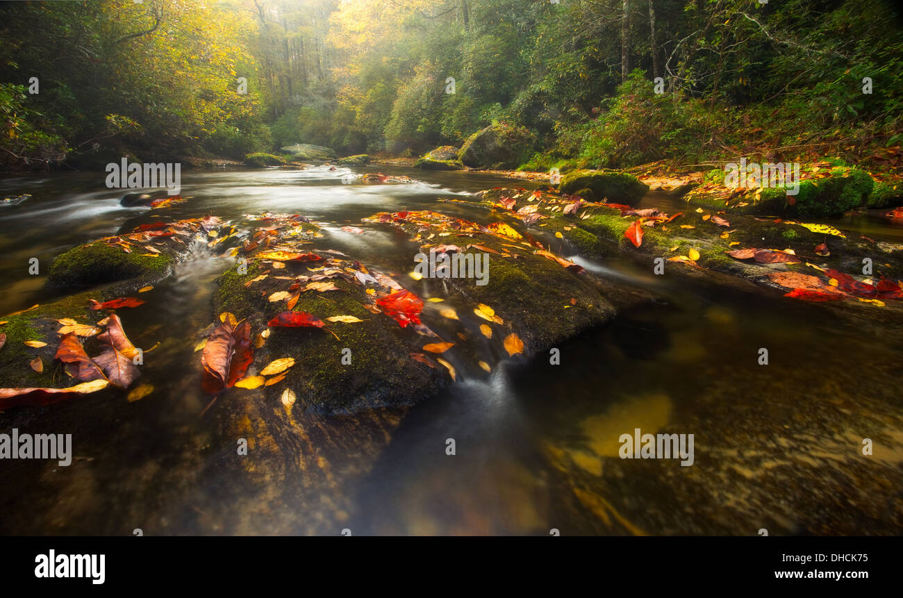 Il fiume Chattooga si snoda attraverso Western North Carolina foreste pluviali temperate in autunno Foto Stock