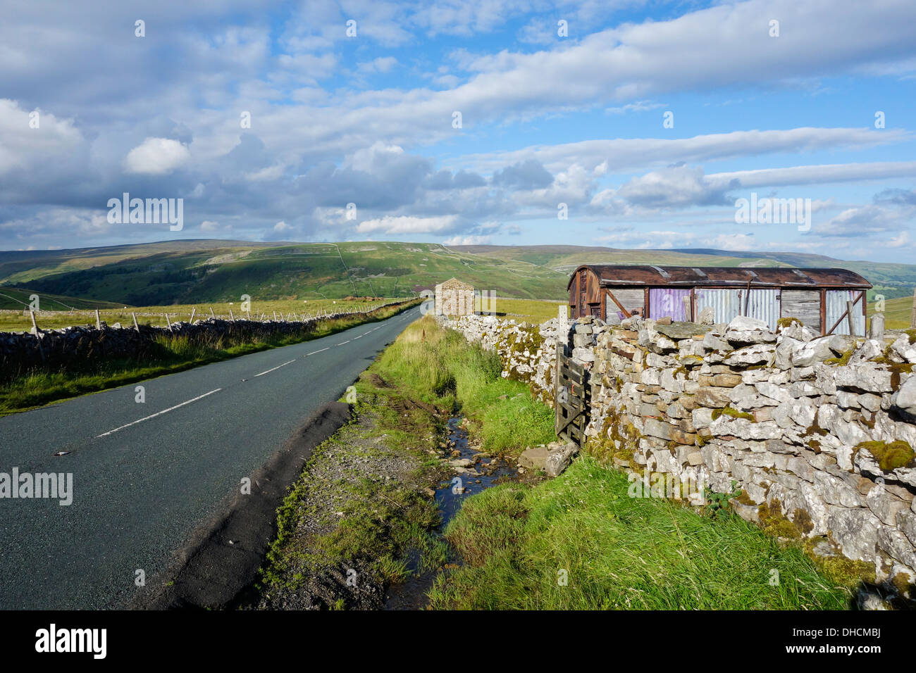 Buttertubs passano nel Yorkshire Dales National Park. Yorkshire, Inghilterra, Regno Unito Foto Stock