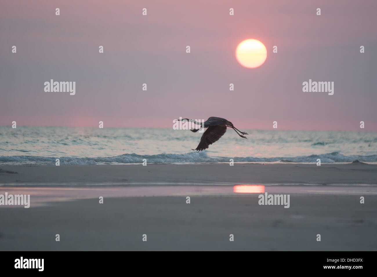 Panama city florida Foto Stock