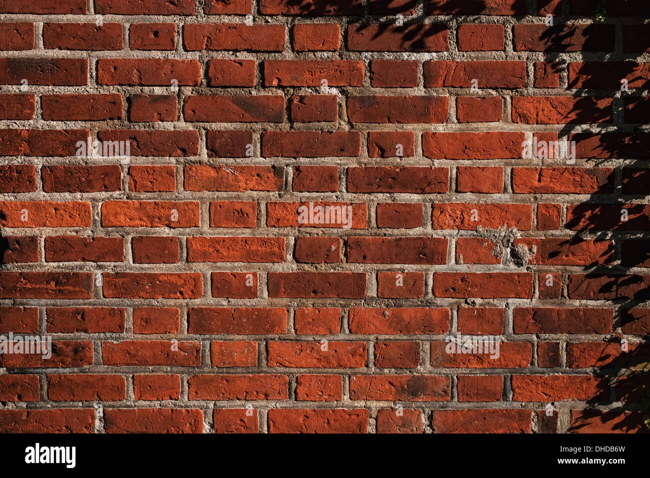 Struttura di un vecchio muro in mattoni vicino fino Foto Stock