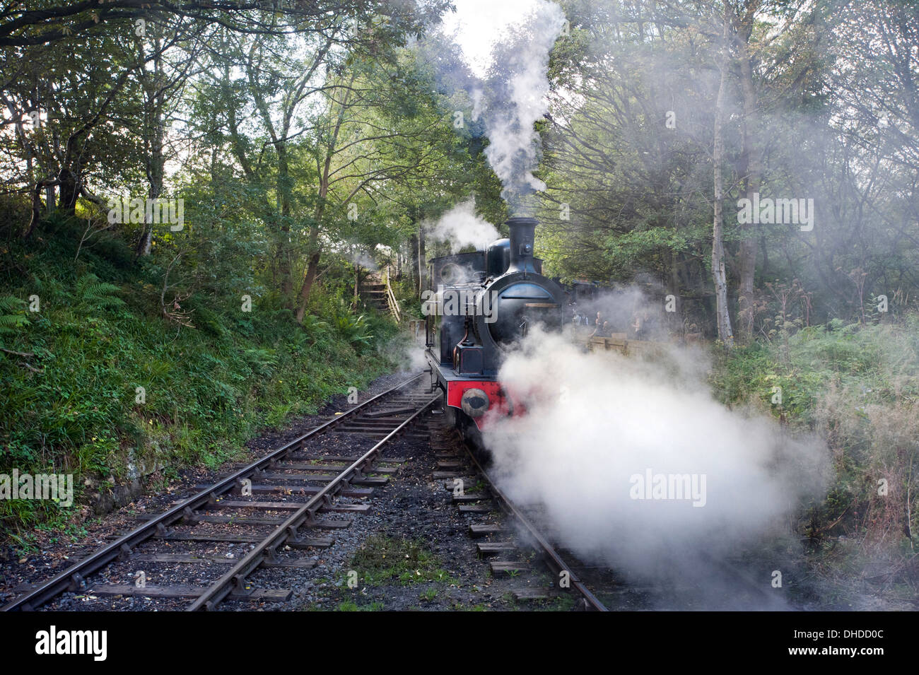 Un ex Coal Board serbatoio del motore locomotiva a vapore sul Tanfield Railway, County Durham, il più antico del mondo - ferroviaria cavallo disegnato prima di vapore. Foto Stock