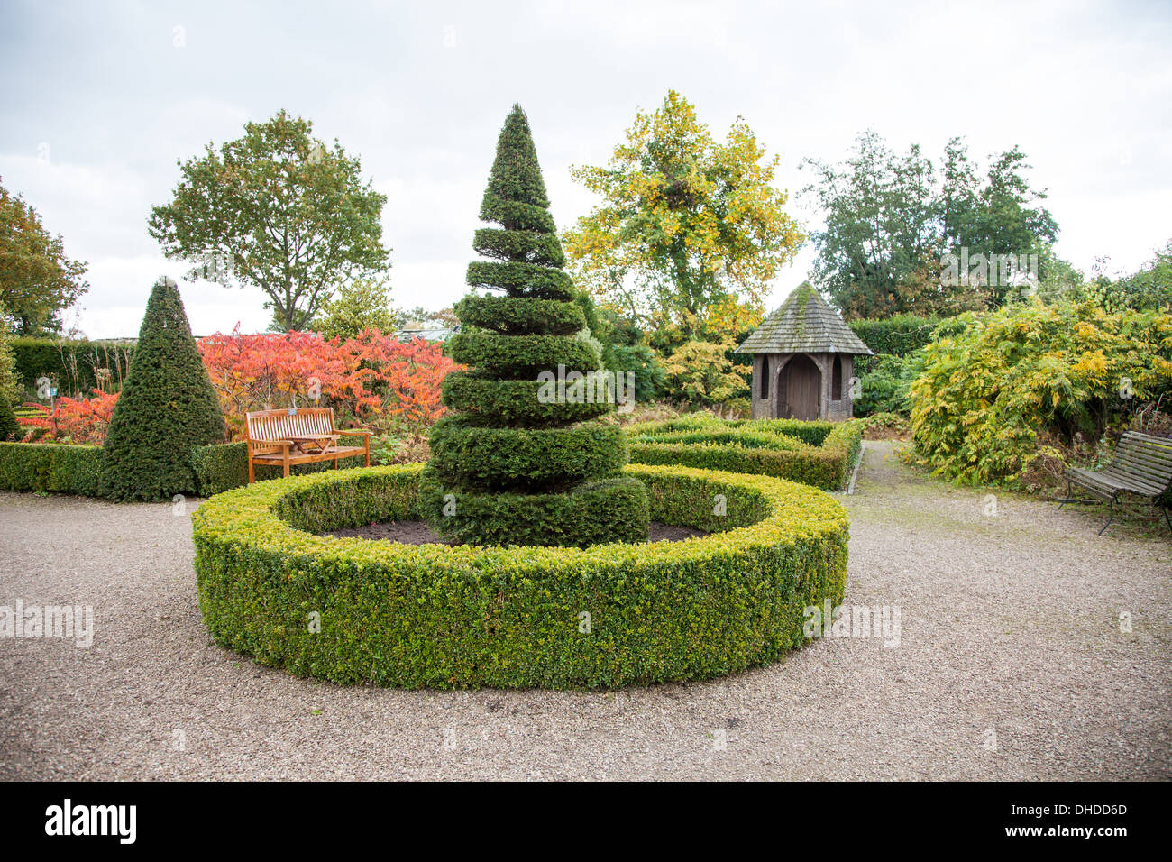 Siepi di bosso e Yew alberi in giardini presso il vivaio Bridgemere e Mondo Giardino Cheshire England Regno Unito Foto Stock