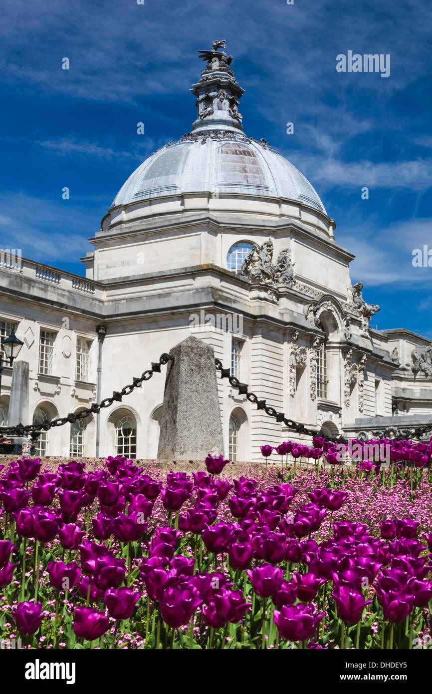 City Hall di Cardiff, Galles, Regno Unito, Europa Foto Stock
