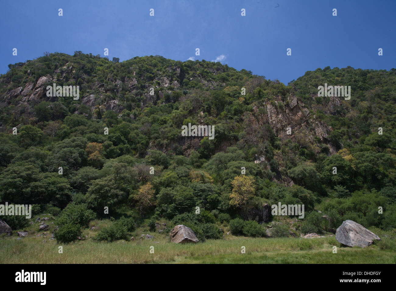 Parete della Grande Rift Valley. Lake Manyara National Park. Tanzania, Africa. Foto Stock