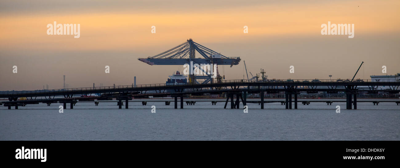 London Gateway Container Port, Essex, Regno Unito . 07 Nov, 2013. Nave portacontainer Mol Caledon è stato il primo ufficiale di Arrivo in tarda notte scorsa presso il nuovo London Gateway in acque profonde di terminal per container in Essex, Inghilterra. Esso arrivati da Cape Town con frutta e vino. Pianificato per la partenza per Rotterdam oggi 7 novembre presso 1500 successivamente è stato ritardato e era ancora in fase di caricamento di un'ora più tardi. Credito: Timothy Smith/Alamy Live News Foto Stock