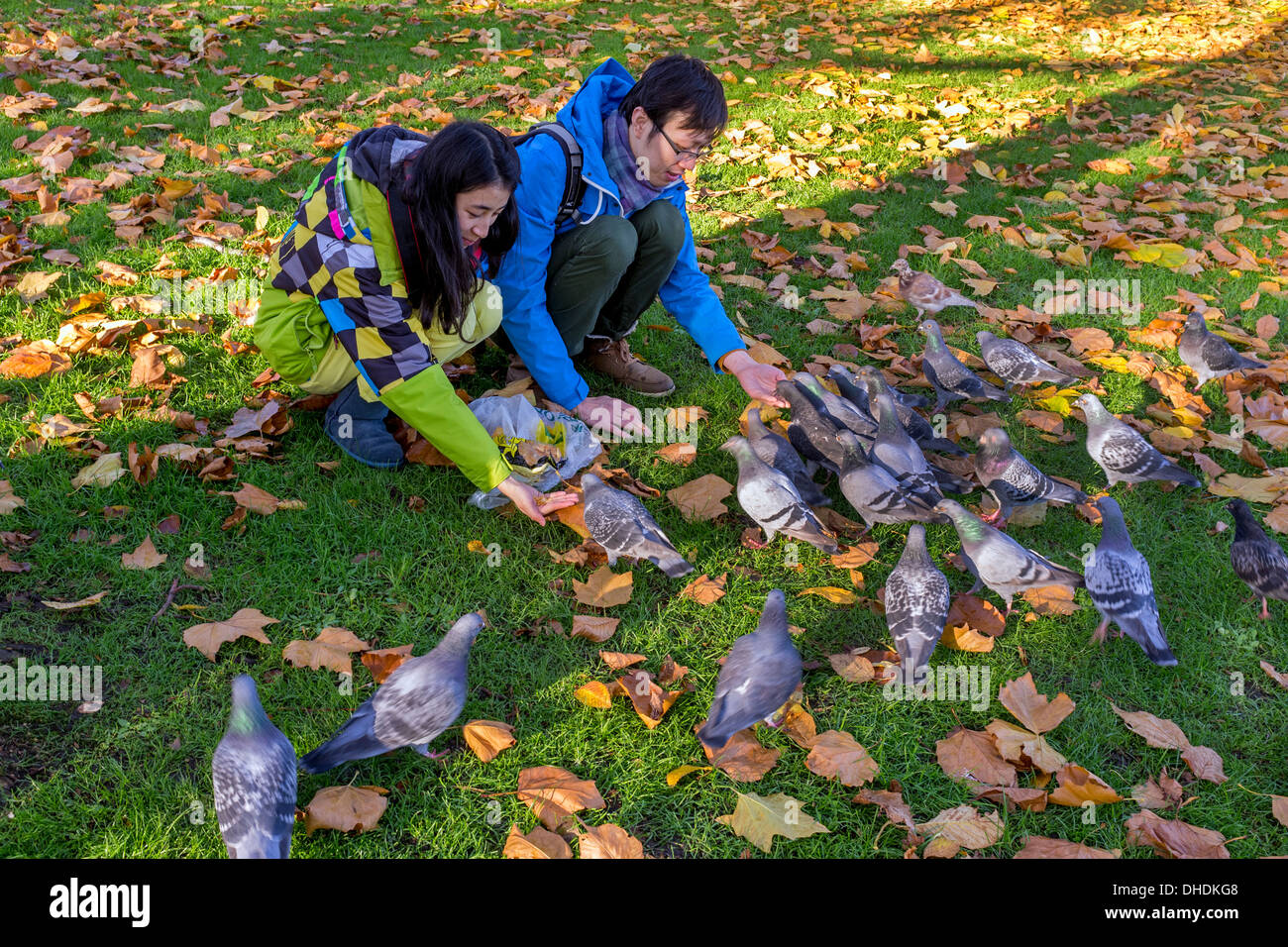 Due persone di alimentazione città selvatici piccioni pane dalle loro mani in un parco pubblico, Glasgow, Scotland, Regno Unito Foto Stock