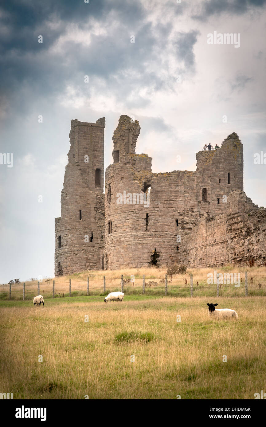 Il castello di Dunstanburgh, Craster, Northumberland, England, Regno Unito, GB Foto Stock