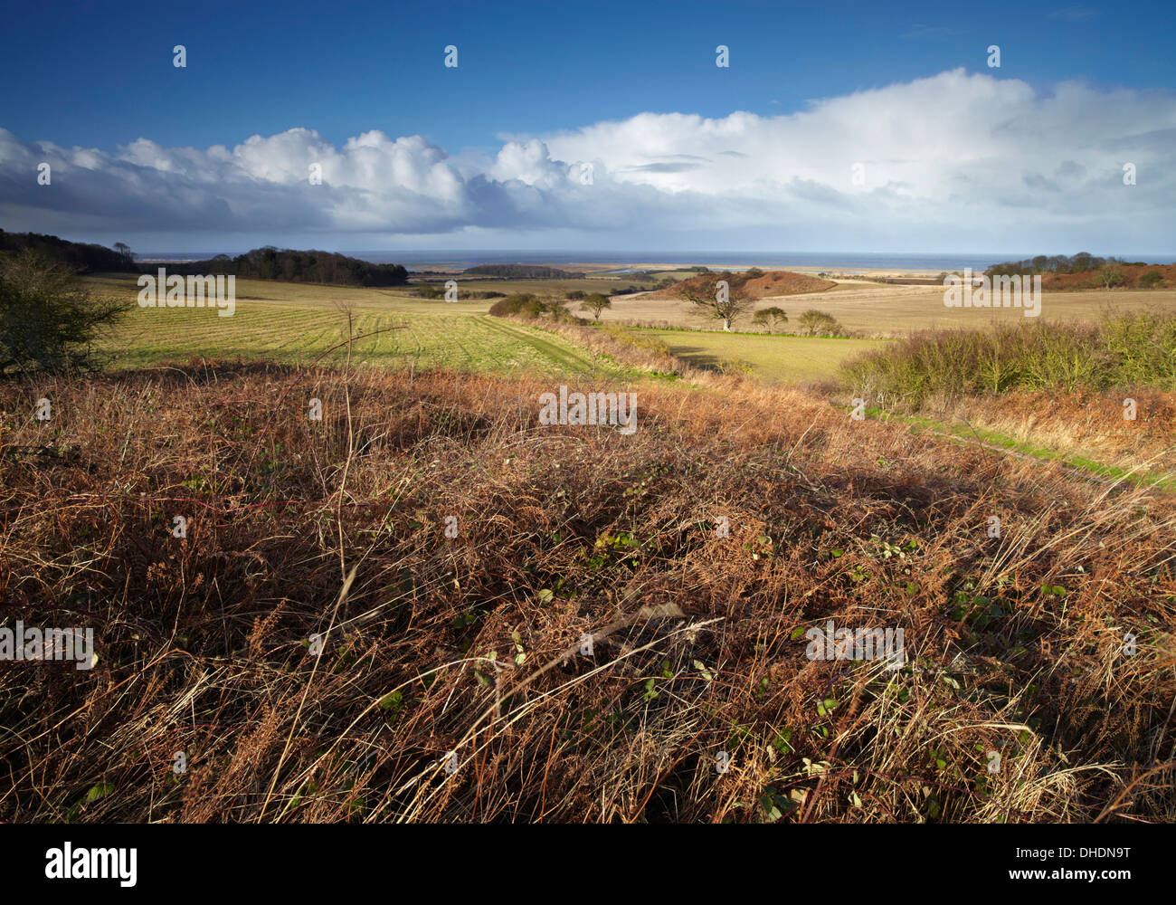 Una luminosa giornata invernale guardando verso il Mare del Nord a Salthouse Heath, Norfolk, Inghilterra, Regno Unito, Europa Foto Stock