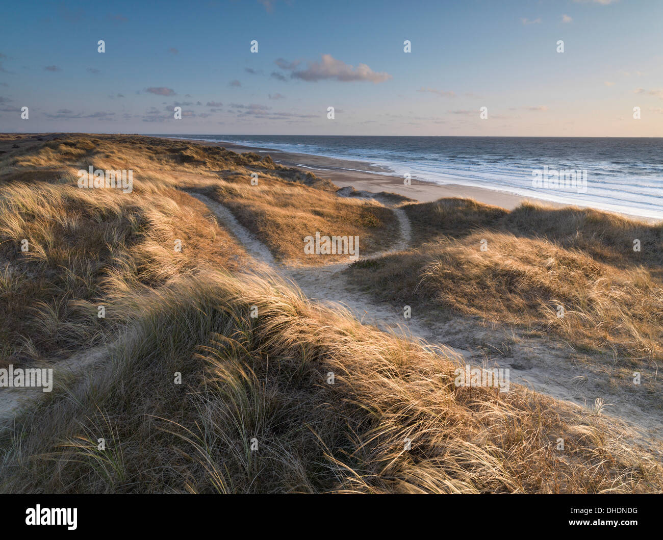 Bella luce sulle dune su un inverno mattina a Winterton, Norfolk, Inghilterra, Regno Unito, Europa Foto Stock