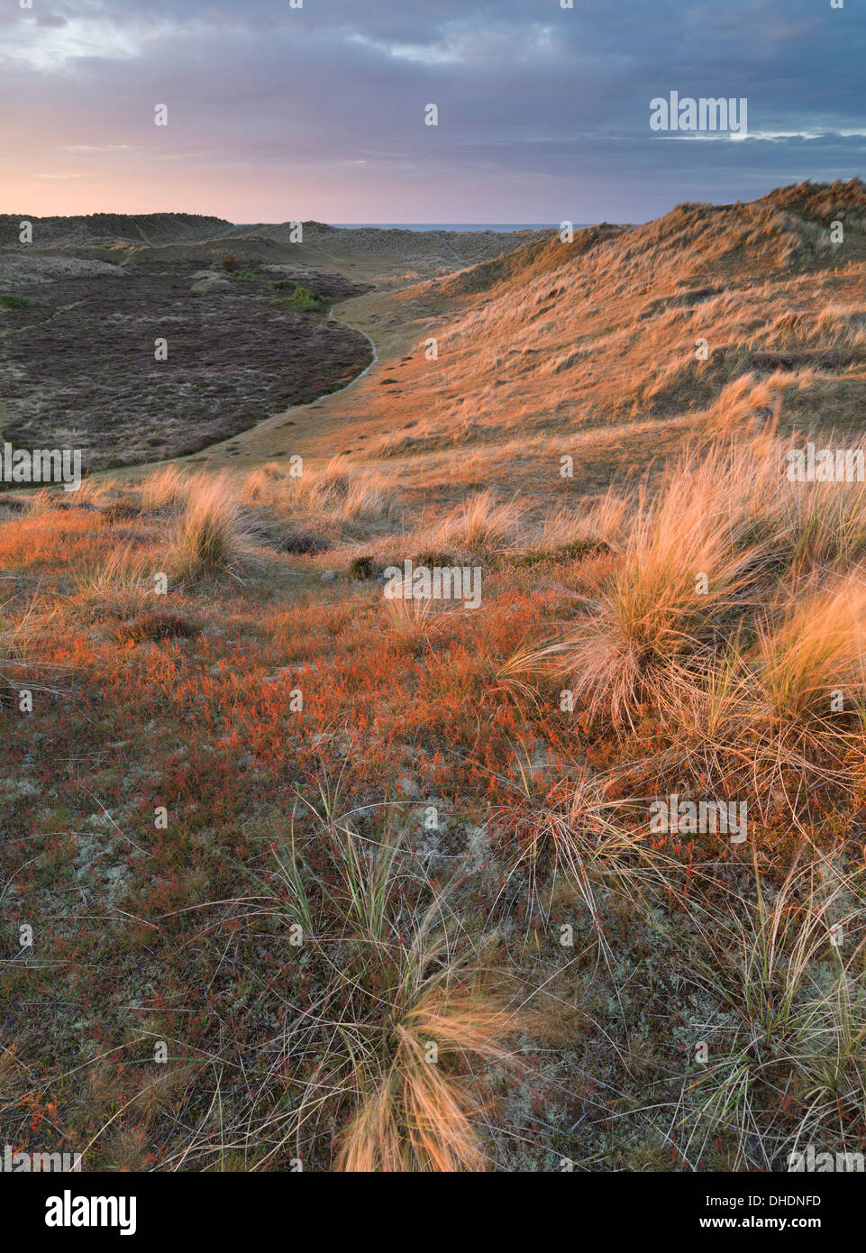 Bella luce sulle dune su una sera d'inverno a Winterton, Norfolk, Inghilterra, Regno Unito, Europa Foto Stock
