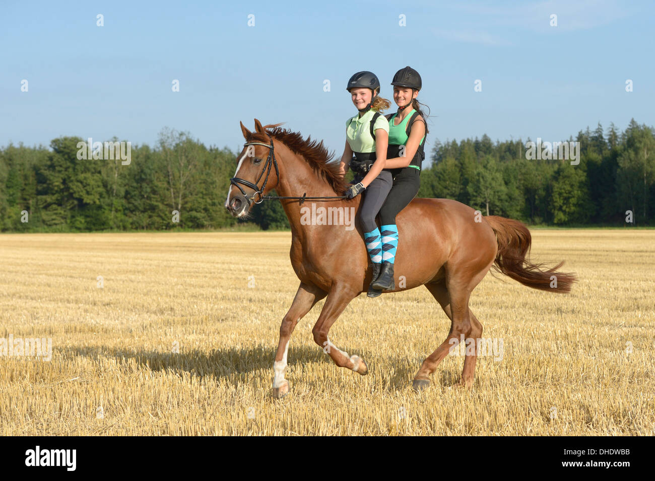 Due ragazze ridere (indossando il casco e paraschiena) correre insieme su un Irish sport horse' cantering in un campo di stoppie Foto Stock