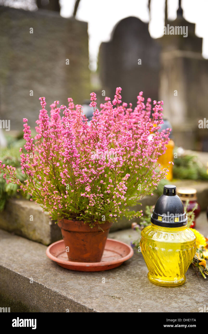 Rosa e molva azzurra e gialla candela votiva sulla tomba Foto Stock