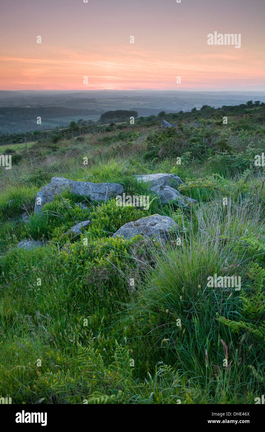 Graminacee selvatiche, felci bracken, mirtilli e rocce di Kitt collina al tramonto. Foto Stock