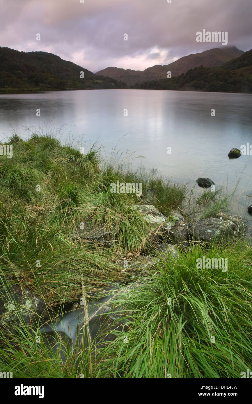 Erbe e il flusso sul lato di Llyn Gwynant, Snowdonia, il Galles del Nord. L'ultimo dei sottili tramonto era l'illuminazione sulle montagne Foto Stock