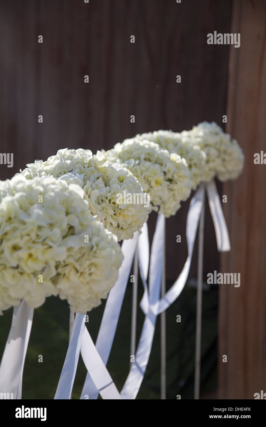 Matrimonio decorazione floreale riga colonna rose bianche attraggono display attraente fresco bianco aggiorna pink ribbon collegare serie focus Foto Stock