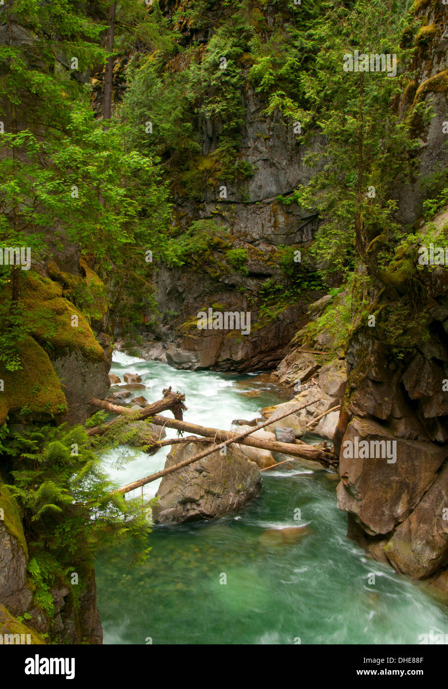 Fiume Coquihalla, Coquihalla Canyon Parco Provinciale, British Columbia, Canada Foto Stock