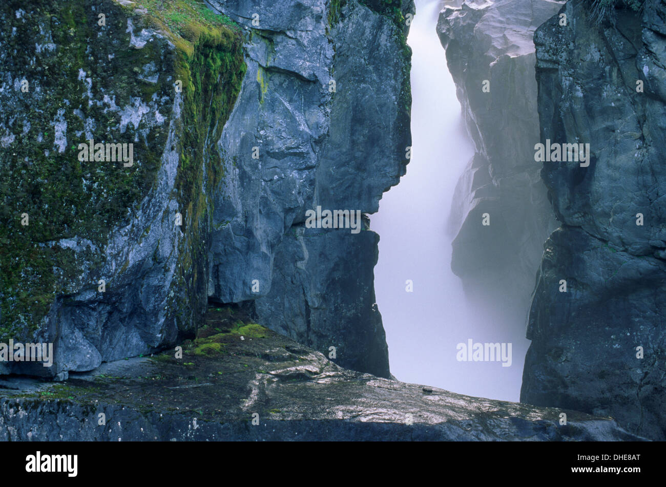 Nairn cade, Nairn cade Parco Provinciale, British Columbia, Canada Foto Stock