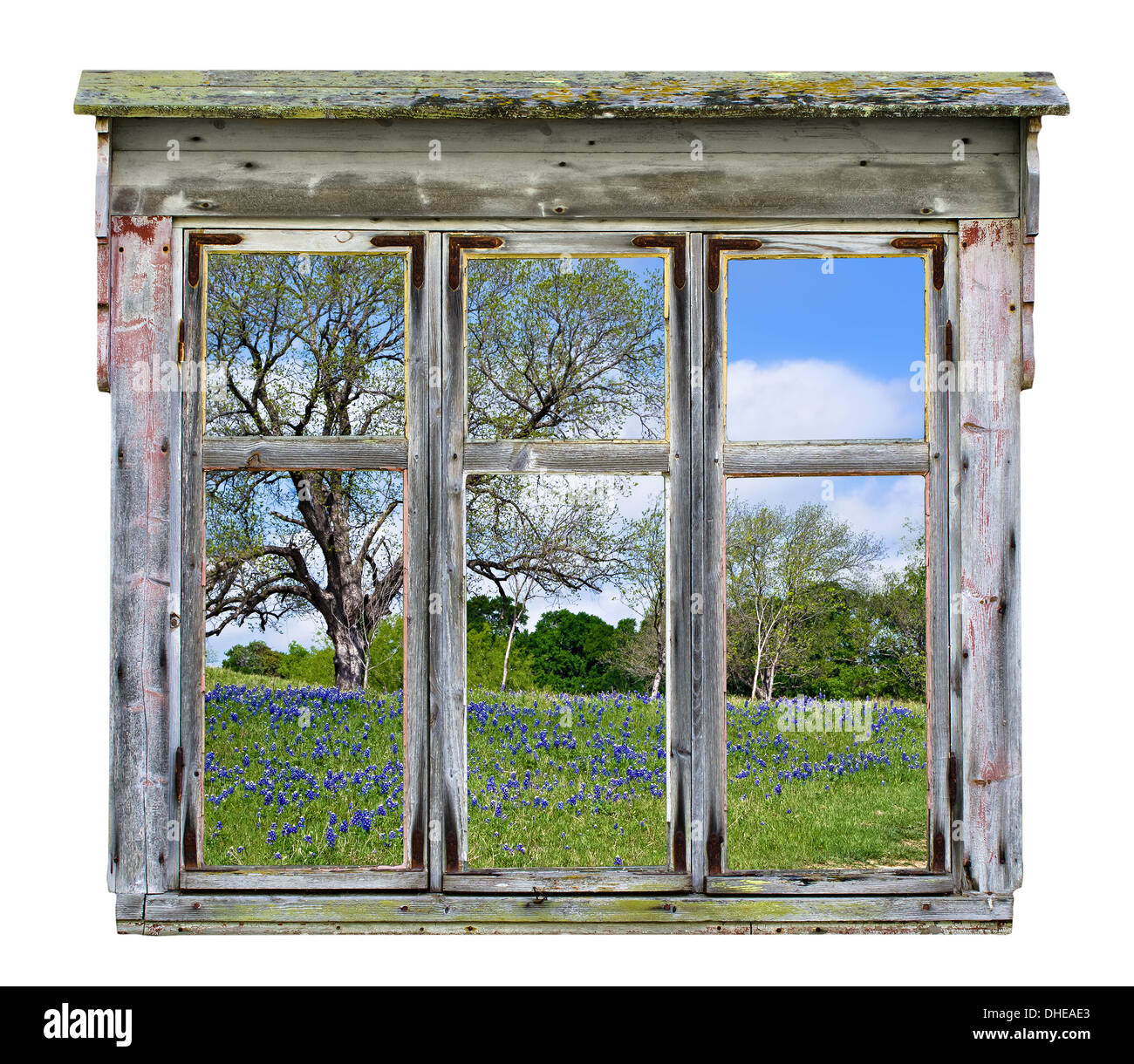 Rustico vecchio telaio di finestra con Texas bluebonnet paese vista in primavera, isolato Foto Stock