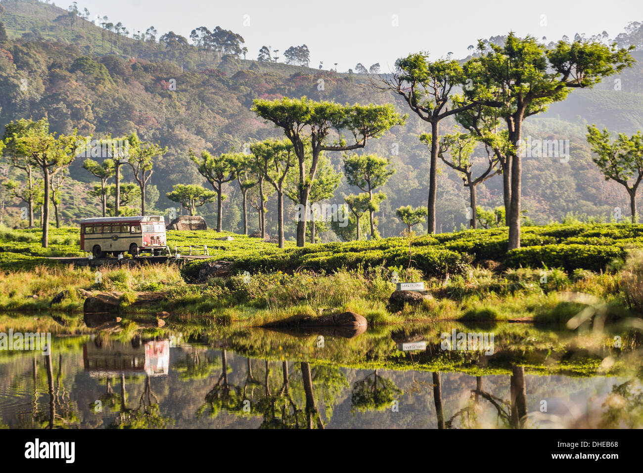 Haputale, riflessioni di un autobus pubblico in un lago in Nuwara Eliya distretto, Sri Lanka Hill Country, Sri Lanka, Asia Foto Stock