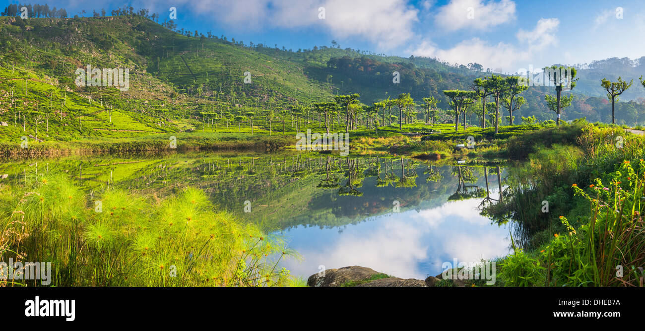 Lago a Haputale, Nuwara Eliya distretto, Sri Lanka Hill Country, Sri Lanka, Asia Foto Stock