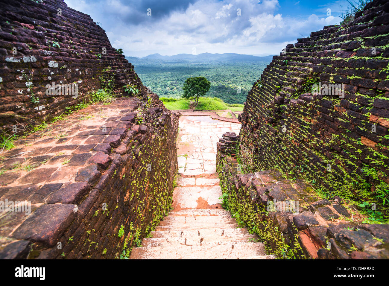 Rovine presso la sommità della Roccia di Sigiriya Fortezza (Lion Rock), il Sito Patrimonio Mondiale dell'UNESCO, Sri Lanka, Asia Foto Stock