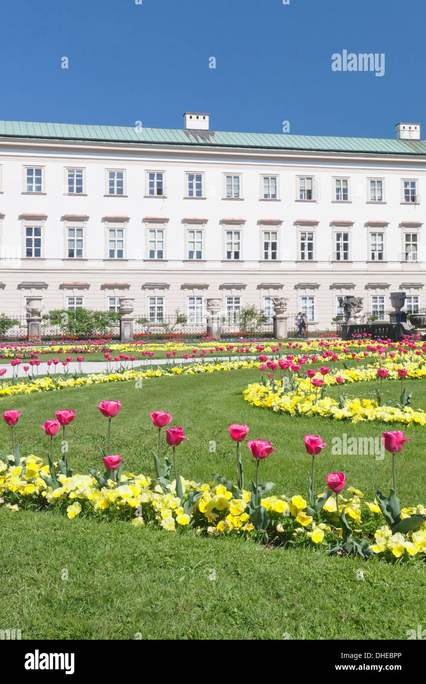 Tulipani nel giardino di Mirabell, il Palazzo Mirabell, Sito Patrimonio Mondiale dell'UNESCO, a Salisburgo Salzburger Land Austria, Europa Foto Stock