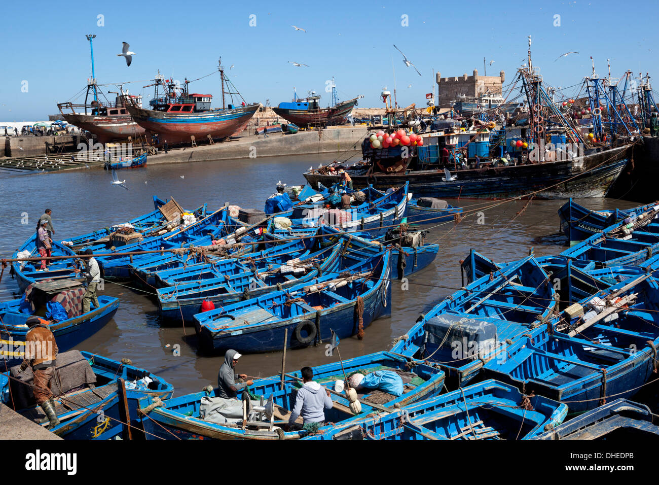Porto di pesca con barche tradizionali di fronte alla vecchia fortezza, Essaouira Costa Atlantica, Marocco, Africa Settentrionale, Africa Foto Stock