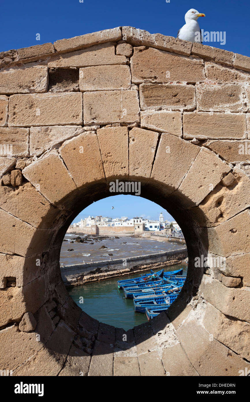 Vista di bastioni e medina dal vecchio fort, Essaouira Costa Atlantica, Marocco, Africa Settentrionale, Africa Foto Stock