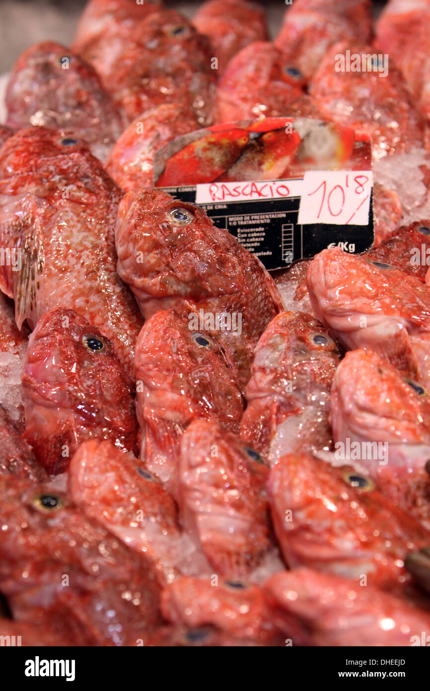 Pesce fresco sul mercato Foto Stock