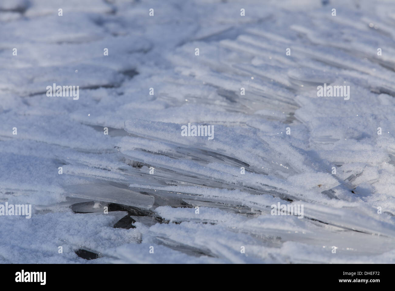 La pancia gonfia di lastre di ghiaccio sulle rive di un fiume Foto Stock