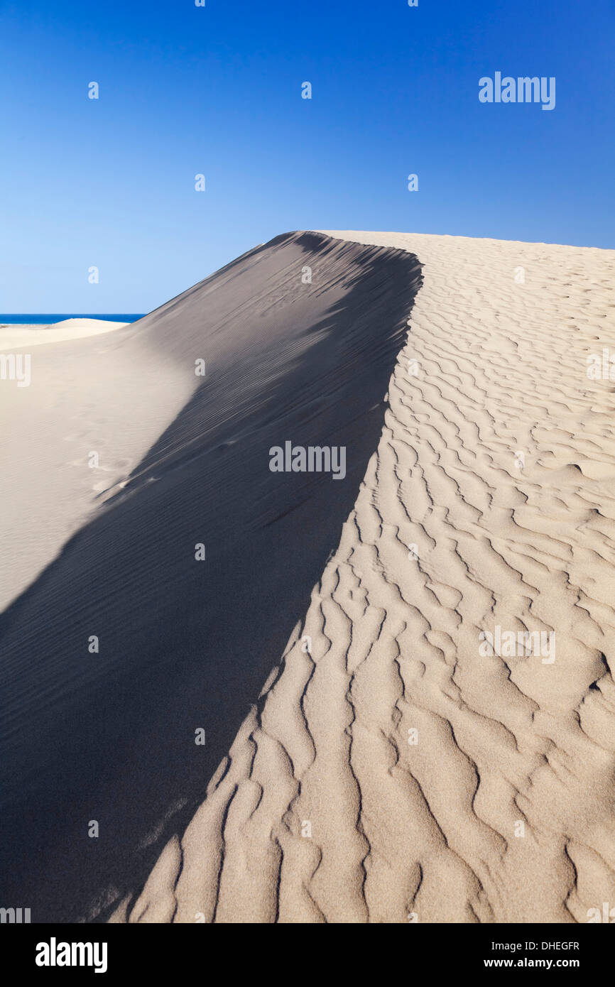 Le dune di sabbia, Maspalomas, Gran Canaria Isole Canarie Spagna, Atlantico, Europa Foto Stock