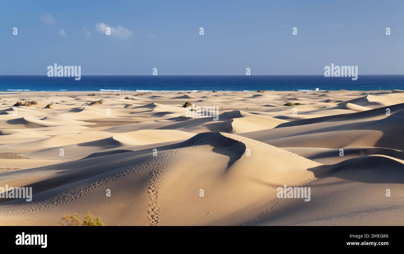 Panorama delle dune di Maspalomas, Maspalomas, Gran Canaria Isole Canarie Spagna, Atlantico, Europa Foto Stock