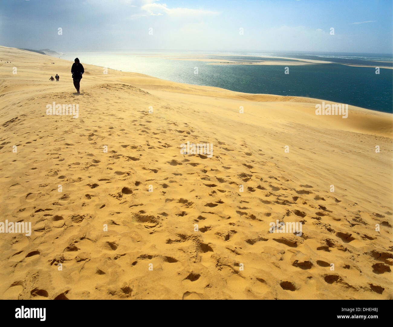 Dune de Pilat, Gironde, Aquitaine, Francia Foto Stock