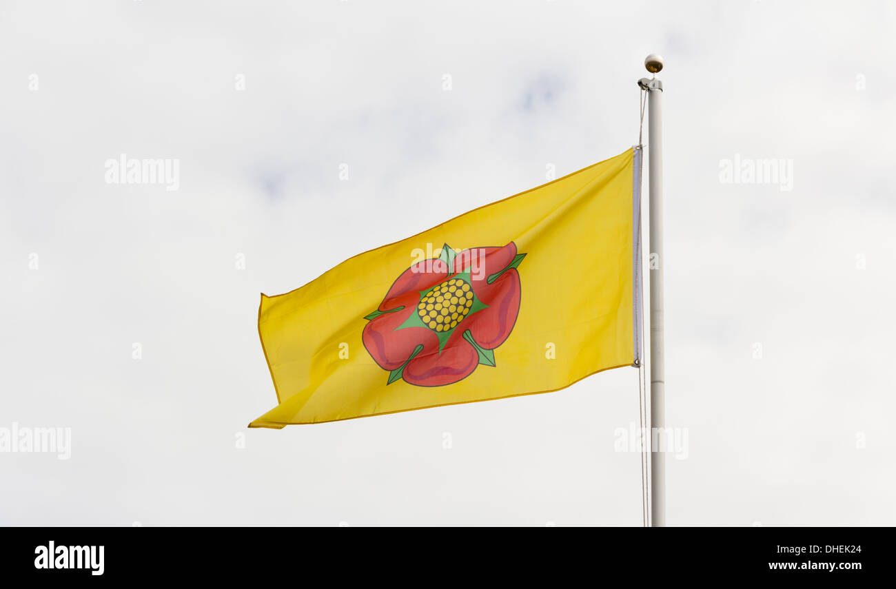 Indicatore con una rosa rossa su uno sfondo giallo. Questa è la bandiera ufficiale della storica Lancashire, il Palatino della contea di Lancaster. Foto Stock