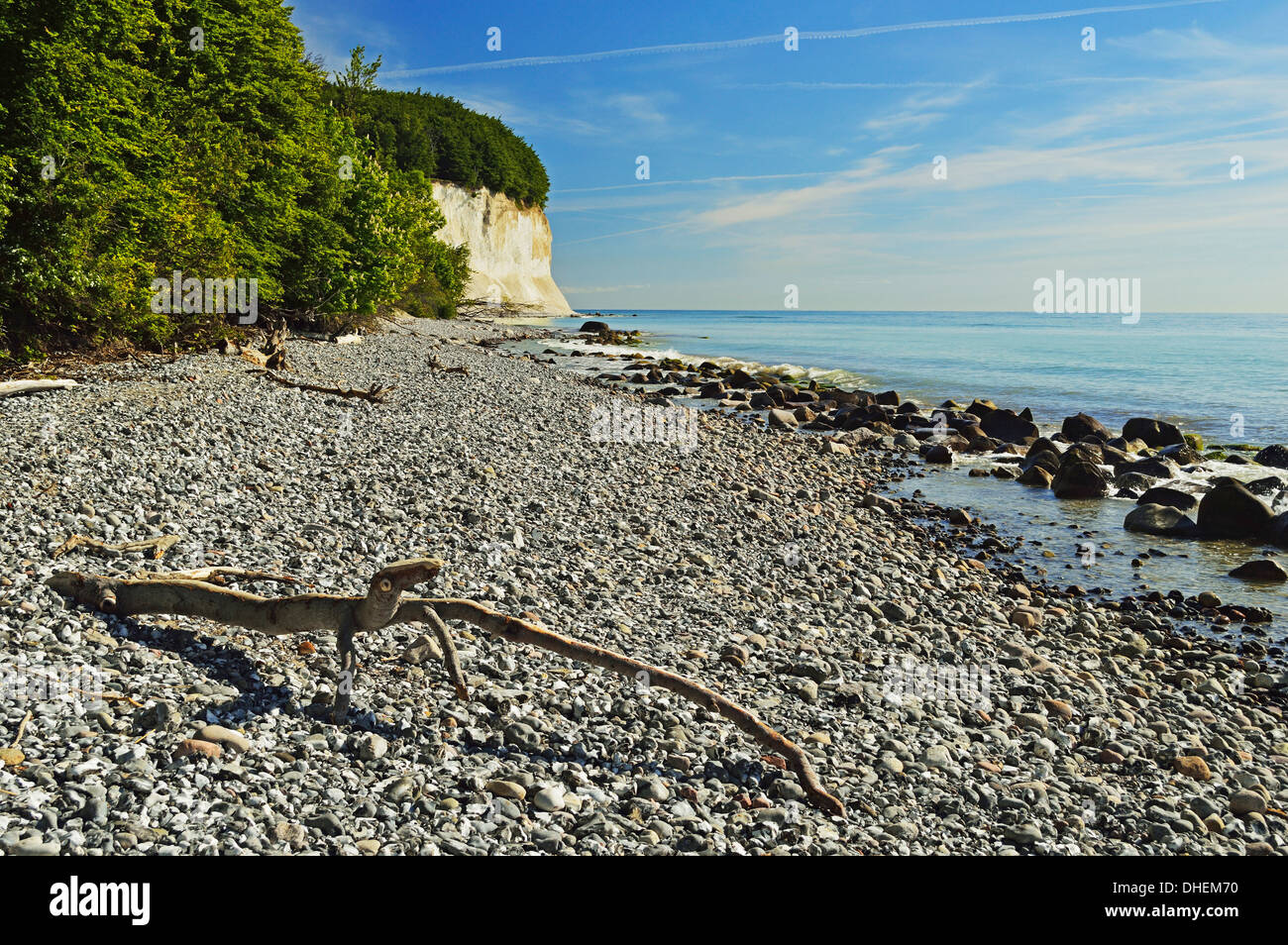 Chalk cliffs, Jasmund National Park, Ruegen Isola, Meclenburgo-Pomerania Occidentale, Germania, Europa Foto Stock