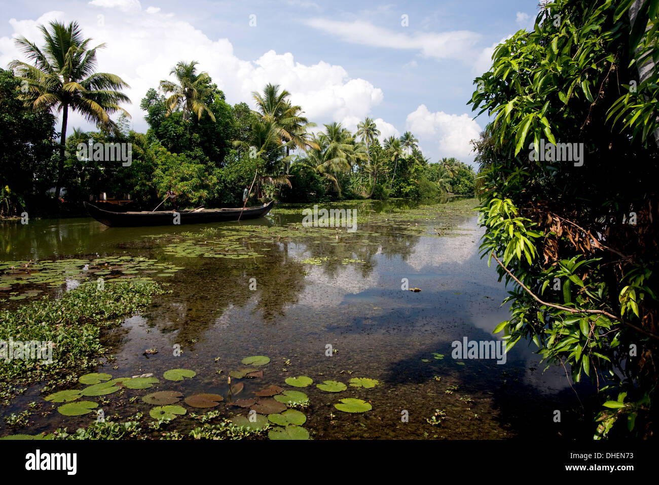 Backwaters di Kumarakom, Kottayam Kerala, India, Asia Foto Stock