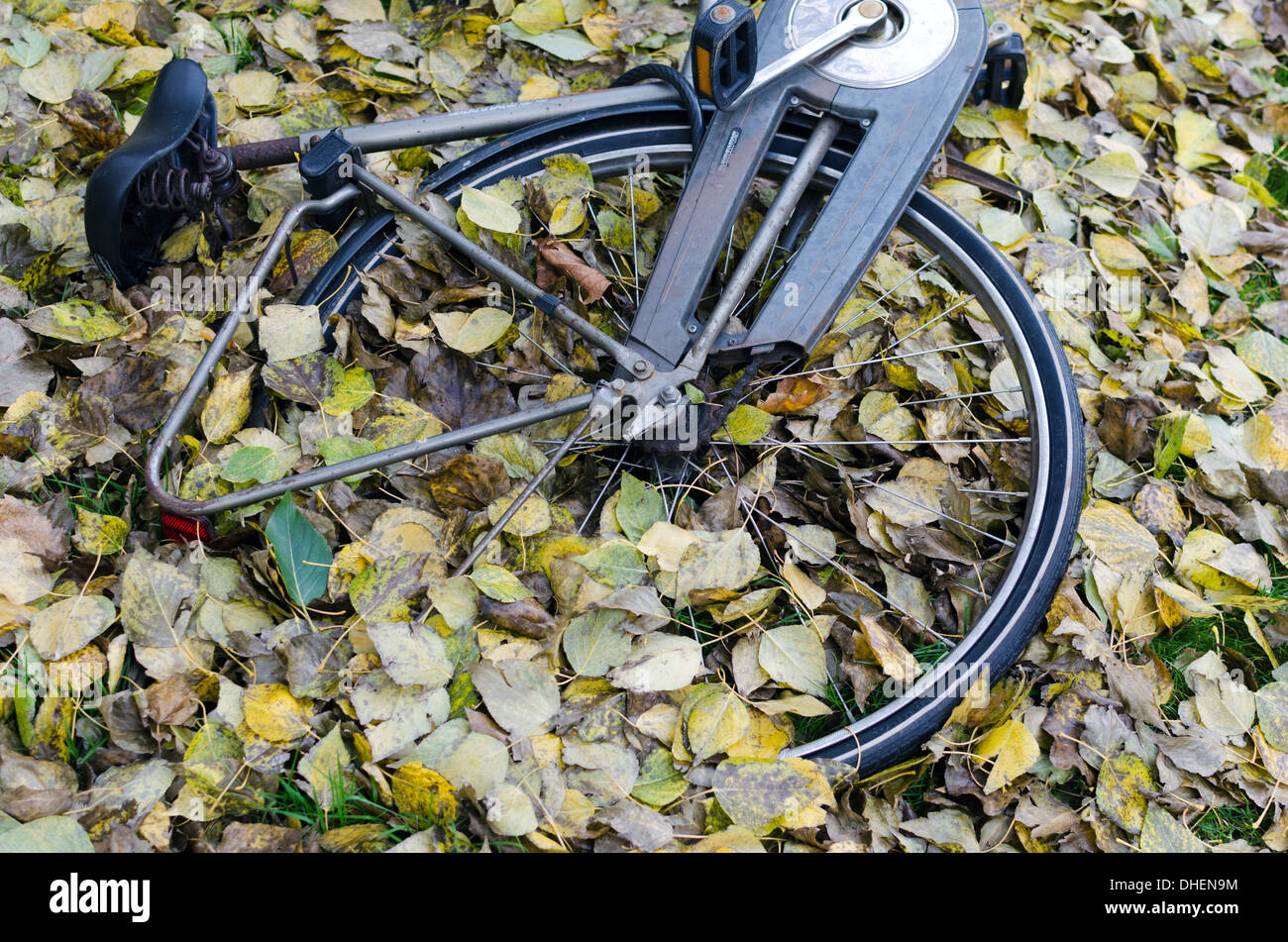 La ruota di bicicletta con caduta foglie degli alberi Foto Stock