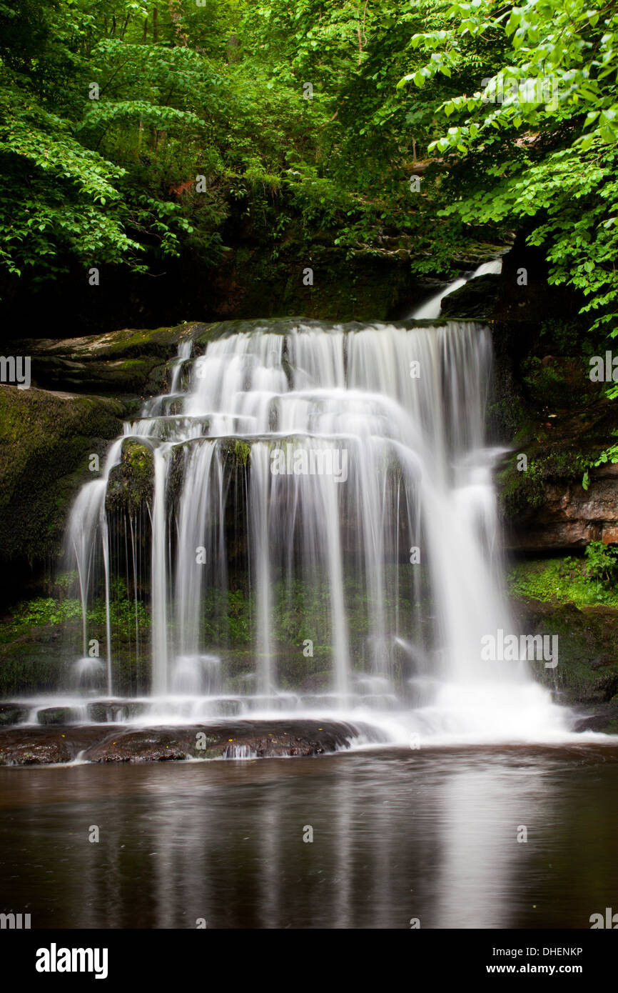 Di West Burton cascata in estate, Wensleydale, Yorkshire Dales, nello Yorkshire, Inghilterra, Regno Unito, Europa Foto Stock