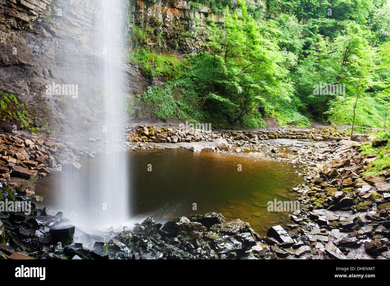 Forza Hardraw in Wensleydale, Yorkshire Dales, nello Yorkshire, Inghilterra, Regno Unito, Europa Foto Stock