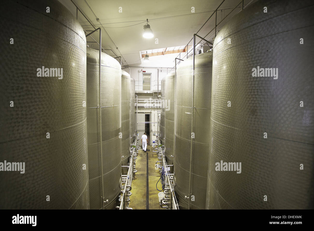 Serbatoi di grandi dimensioni in una fabbrica di birra Foto Stock
