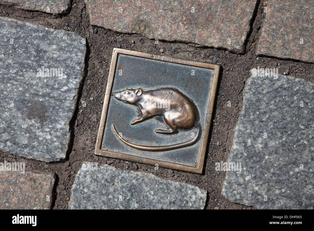 Ciottolo con un ratto, Hameln, Bassa Sassonia, Germania, Foto Stock