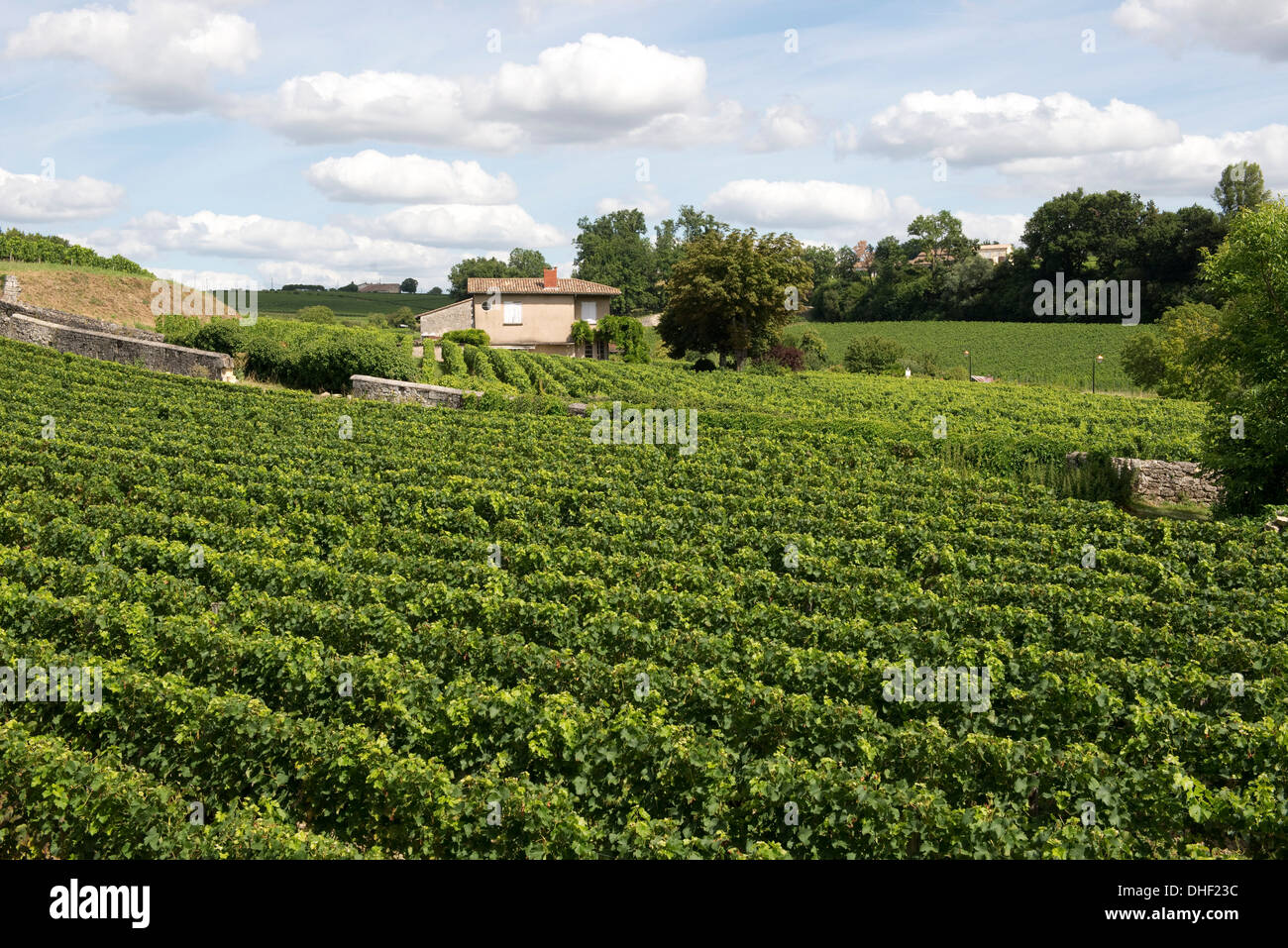 Vista sui vigneti che circondano la città di St Emilion nella regione di Bordeaux in Francia Foto Stock