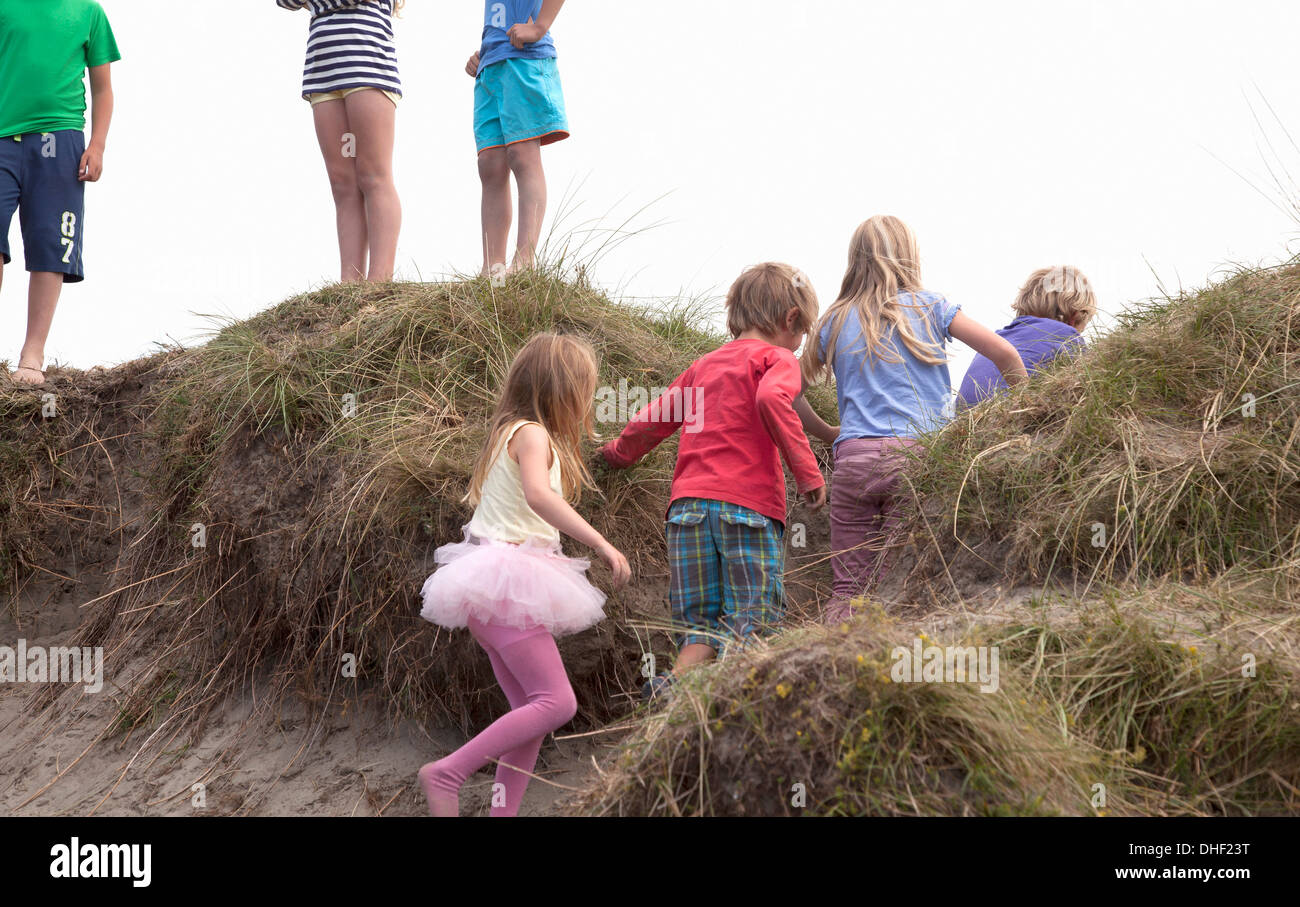 Gruppo di amici sulle dune, Wales, Regno Unito Foto Stock