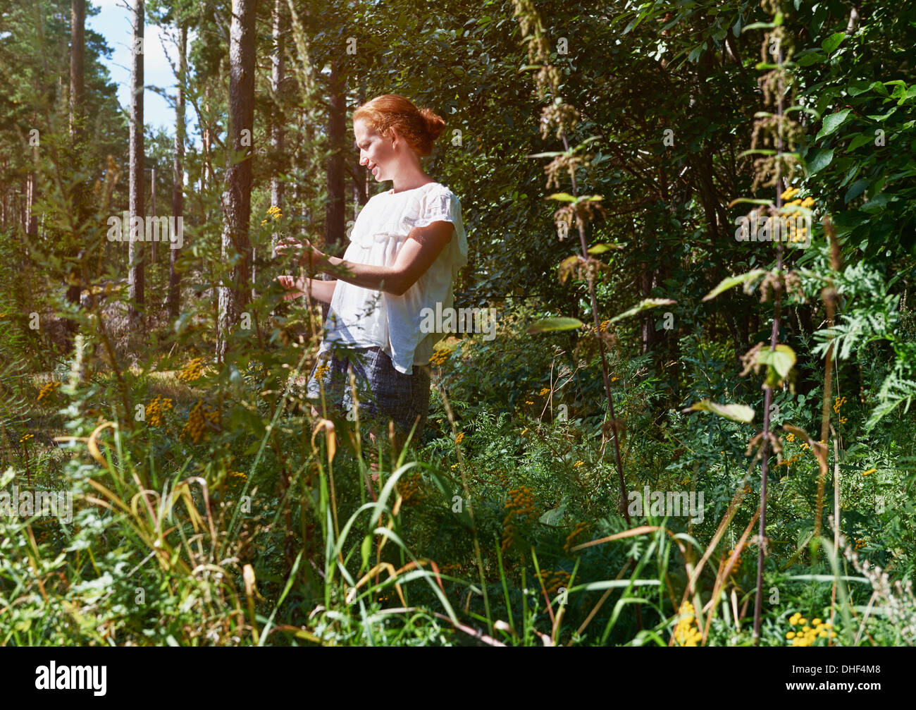 Donna in piedi nella foresta, guardando le piante Foto Stock