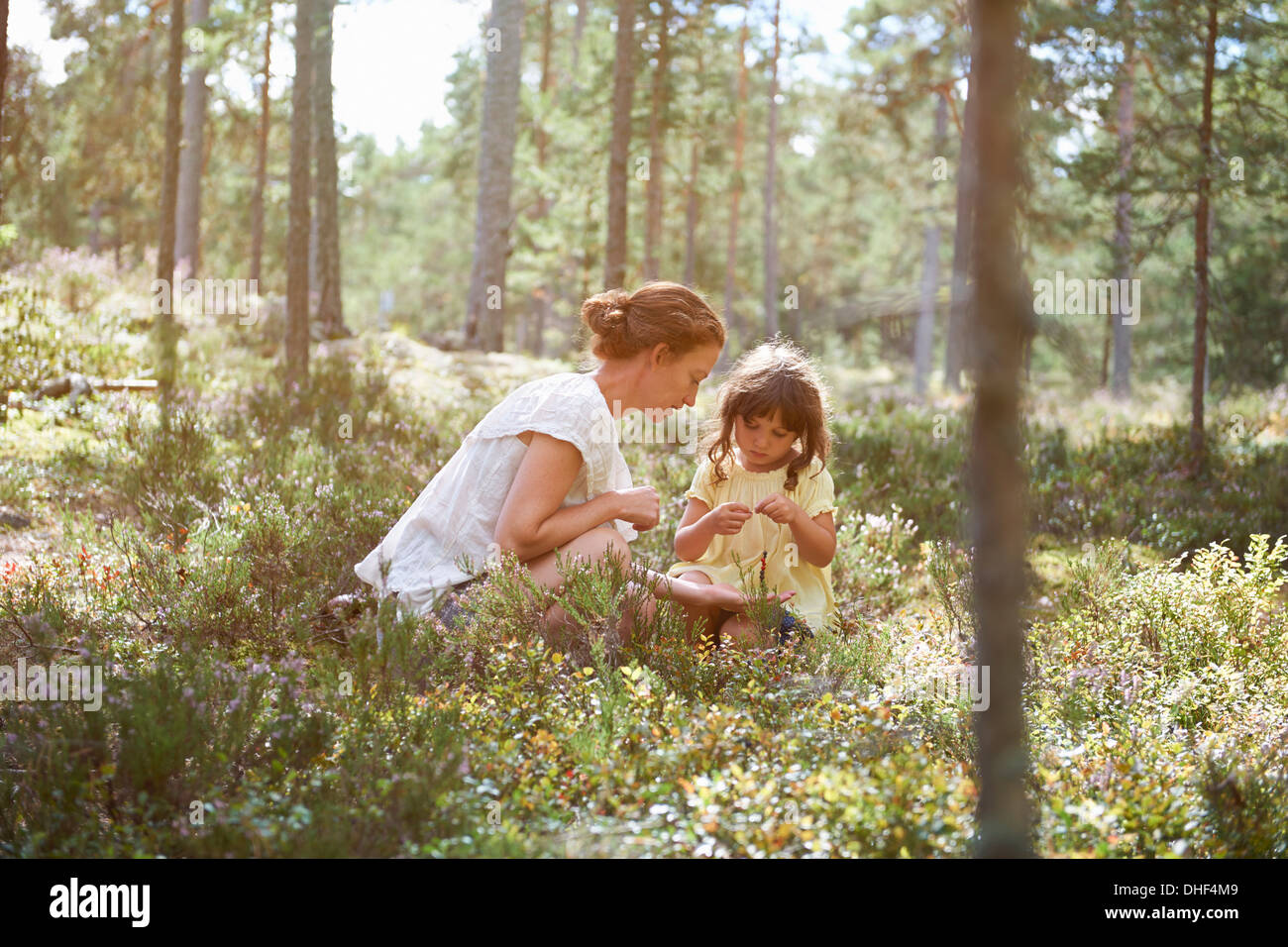 Madre e figlia seduti in erba lunga guardando le piante Foto Stock