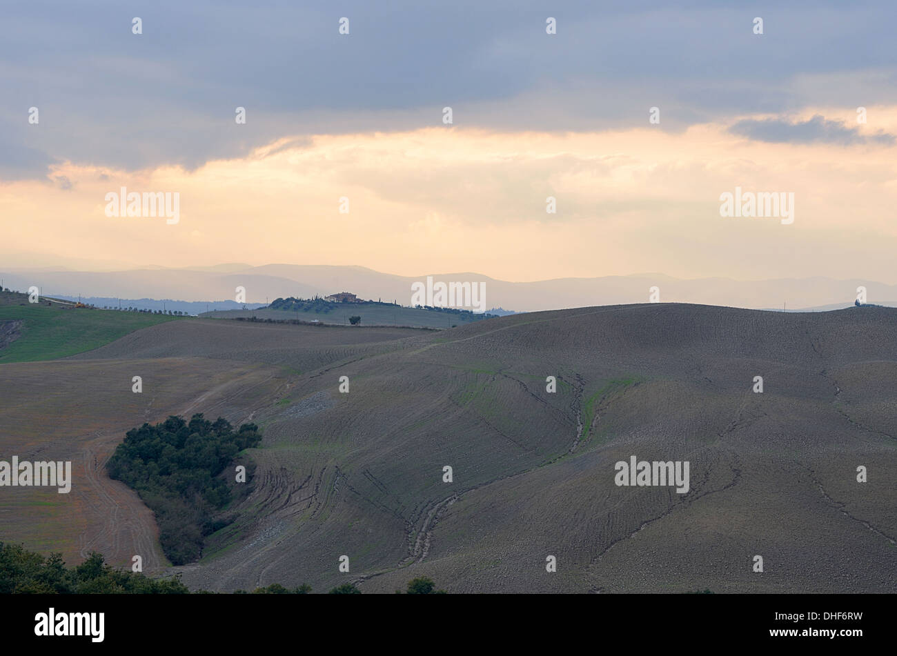 Campo Arato al Tramonto in Toscana Foto Stock