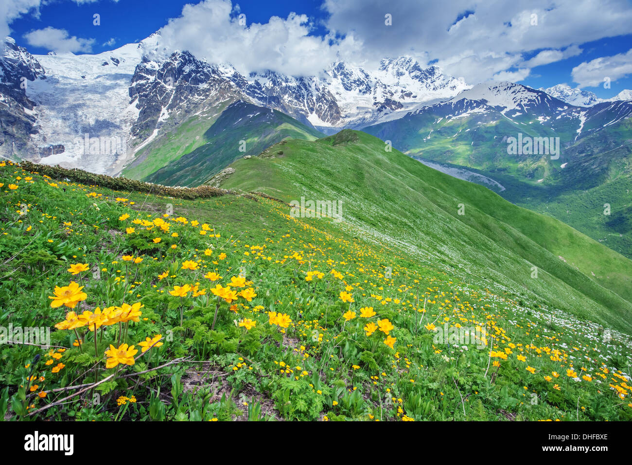 Bella montagna in estate Foto Stock
