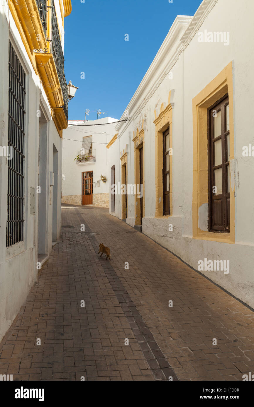 Strada stretta in N ar, Almeria, Andalusia. Foto Stock